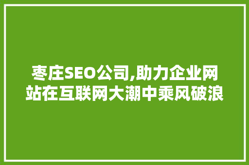 枣庄SEO公司,助力企业网站在互联网大潮中乘风破浪