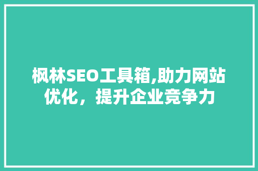 枫林SEO工具箱,助力网站优化，提升企业竞争力 百度算法