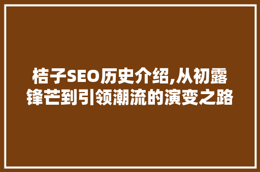 桔子SEO历史介绍,从初露锋芒到引领潮流的演变之路