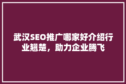 武汉SEO推广哪家好介绍行业翘楚，助力企业腾飞