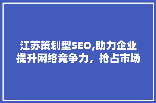 江苏策划型SEO,助力企业提升网络竞争力，抢占市场先机 英文谷歌算法