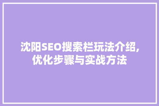沈阳SEO搜索栏玩法介绍,优化步骤与实战方法