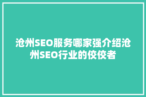 沧州SEO服务哪家强介绍沧州SEO行业的佼佼者