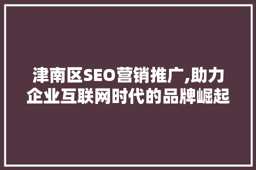 津南区SEO营销推广,助力企业互联网时代的品牌崛起
