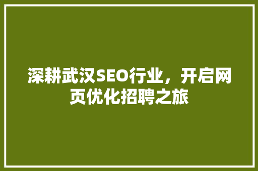 深耕武汉SEO行业，开启网页优化招聘之旅
