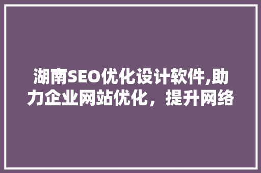 湖南SEO优化设计软件,助力企业网站优化，提升网络竞争力