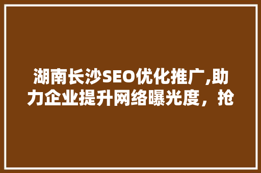 湖南长沙SEO优化推广,助力企业提升网络曝光度，抢占市场先机 英文谷歌算法