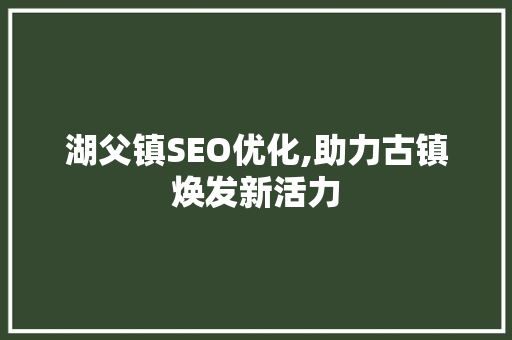湖父镇SEO优化,助力古镇焕发新活力