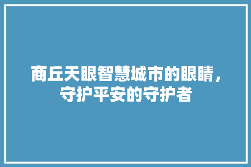 商丘天眼智慧城市的眼睛，守护平安的守护者