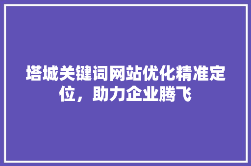 塔城关键词网站优化精准定位，助力企业腾飞 seo技术