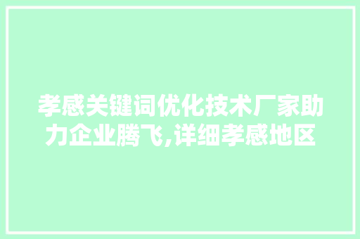 孝感关键词优化技术厂家助力企业腾飞,详细孝感地区企业网络营销步骤