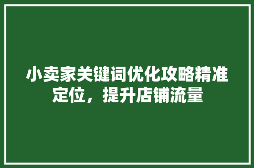小卖家关键词优化攻略精准定位，提升店铺流量