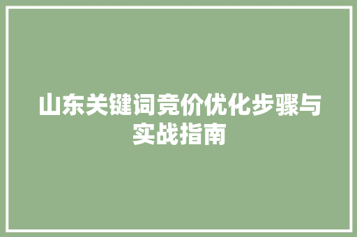 山东关键词竞价优化步骤与实战指南