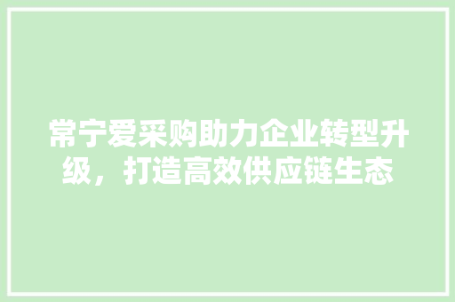 常宁爱采购助力企业转型升级，打造高效供应链生态