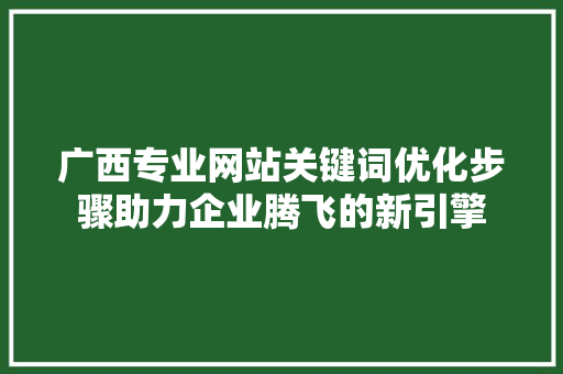广西专业网站关键词优化步骤助力企业腾飞的新引擎 网站优化