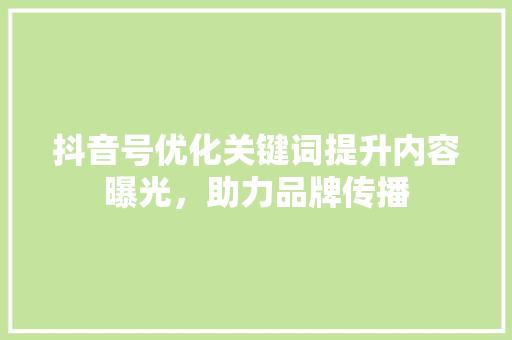 抖音号优化关键词提升内容曝光，助力品牌传播