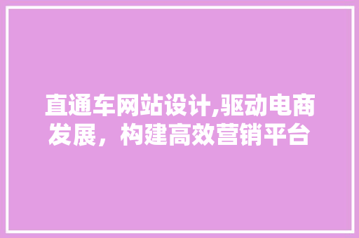 直通车网站设计,驱动电商发展，构建高效营销平台 直通车网站设计,驱动电商发展，构建高效营销平台 网站开发