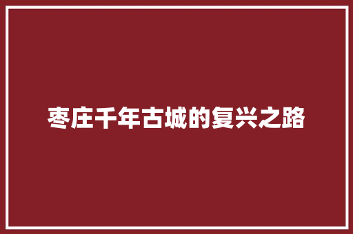 枣庄千年古城的复兴之路