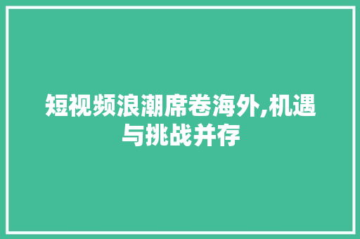 短视频浪潮席卷海外,机遇与挑战并存 短视频浪潮席卷海外,机遇与挑战并存 网站优化