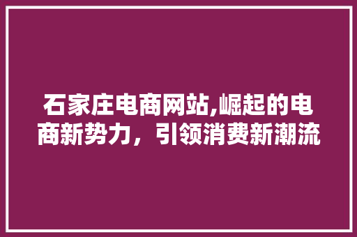 石家庄电商网站,崛起的电商新势力，引领消费新潮流 石家庄电商网站,崛起的电商新势力，引领消费新潮流 百度算法