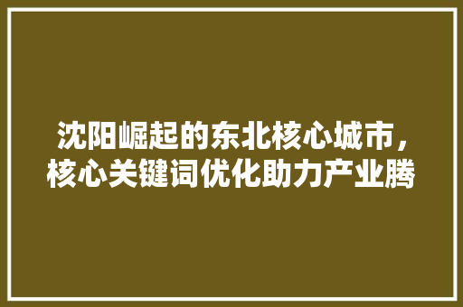 沈阳崛起的东北核心城市，核心关键词优化助力产业腾飞