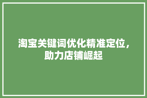 淘宝关键词优化精准定位，助力店铺崛起