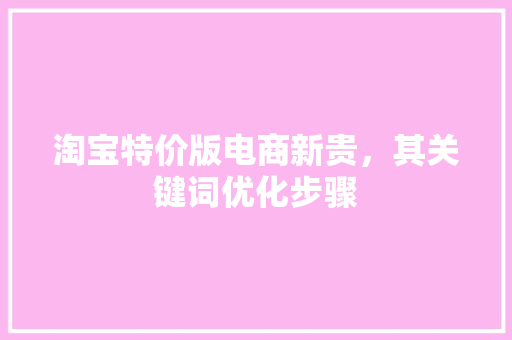 淘宝特价版电商新贵，其关键词优化步骤 网站开发