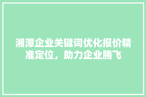 湘潭企业关键词优化报价精准定位，助力企业腾飞