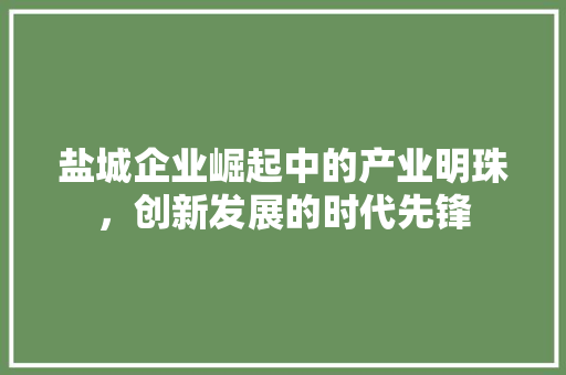 盐城企业崛起中的产业明珠，创新发展的时代先锋