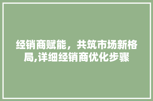 经销商赋能，共筑市场新格局,详细经销商优化步骤
