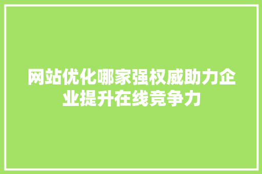 网站优化哪家强权威助力企业提升在线竞争力