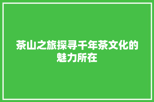 茶山之旅探寻千年茶文化的魅力所在 360搜优化