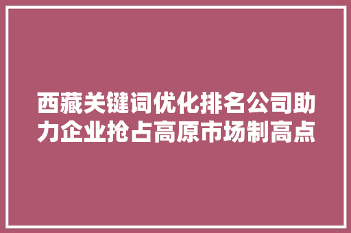 西藏关键词优化排名公司助力企业抢占高原市场制高点 百度算法