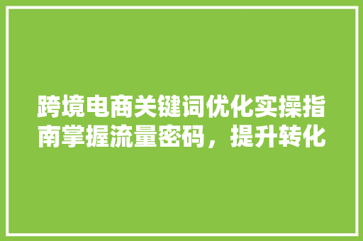 跨境电商关键词优化实操指南掌握流量密码，提升转化率