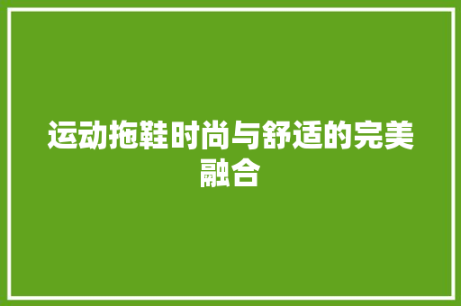 运动拖鞋时尚与舒适的完美融合 网站优化