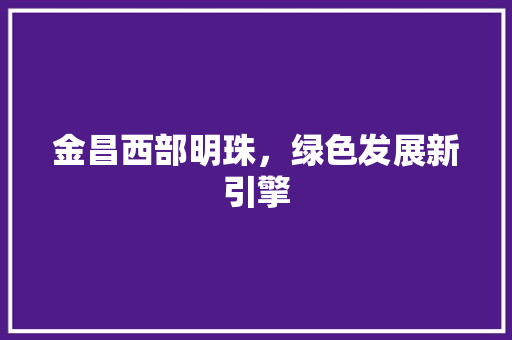 金昌西部明珠，绿色发展新引擎 AI技术学习