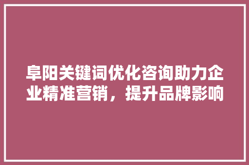 阜阳关键词优化咨询助力企业精准营销，提升品牌影响力