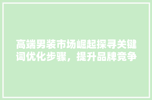 高端男装市场崛起探寻关键词优化步骤，提升品牌竞争力