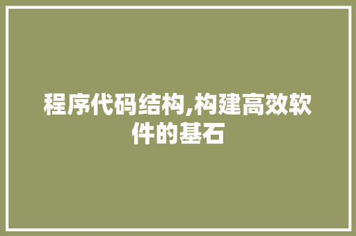 程序代码结构,构建高效软件的基石