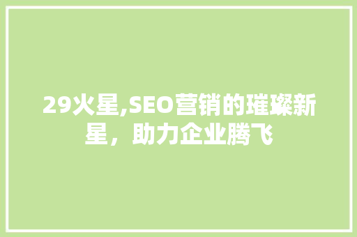 29火星,SEO营销的璀璨新星，助力企业腾飞