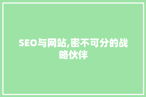 SEO与网站,密不可分的战略伙伴