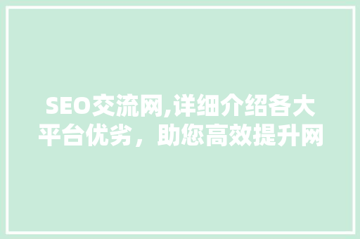 SEO交流网,详细介绍各大平台优劣，助您高效提升网站排名