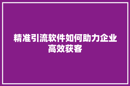 精准引流软件如何助力企业高效获客 英文谷歌算法