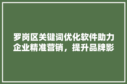 罗岗区关键词优化软件助力企业精准营销，提升品牌影响力