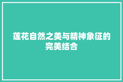 莲花自然之美与精神象征的完美结合