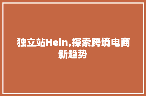 独立站Hein,探索跨境电商新趋势