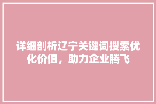 详细剖析辽宁关键词搜索优化价值，助力企业腾飞 网站优化