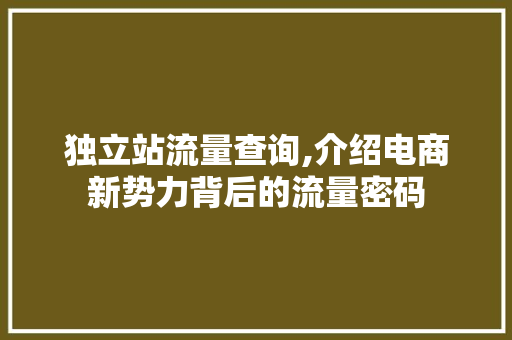 独立站流量查询,介绍电商新势力背后的流量密码 独立站流量查询,介绍电商新势力背后的流量密码 AI技术学习
