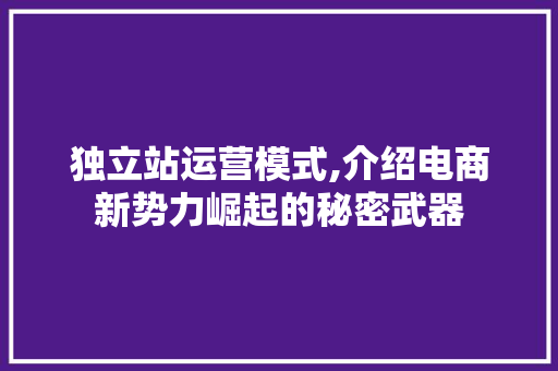 独立站运营模式,介绍电商新势力崛起的秘密武器 独立站运营模式,介绍电商新势力崛起的秘密武器 网站优化