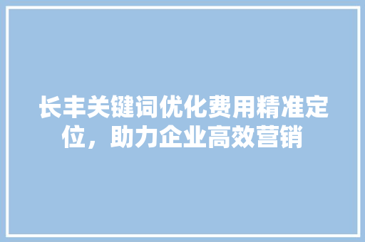 长丰关键词优化费用精准定位，助力企业高效营销 网站开发